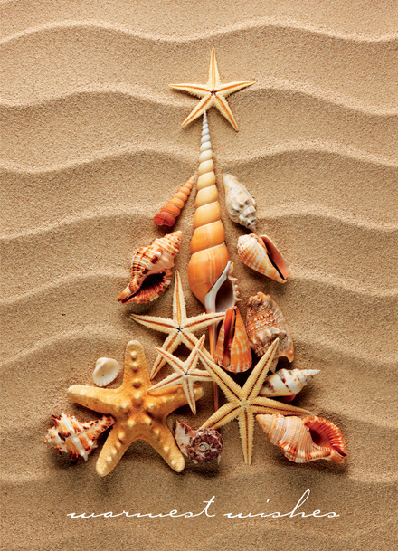 Waves of Warm Wishes Regional Holiday Card